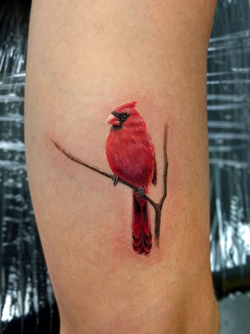 bird 02 tattoo