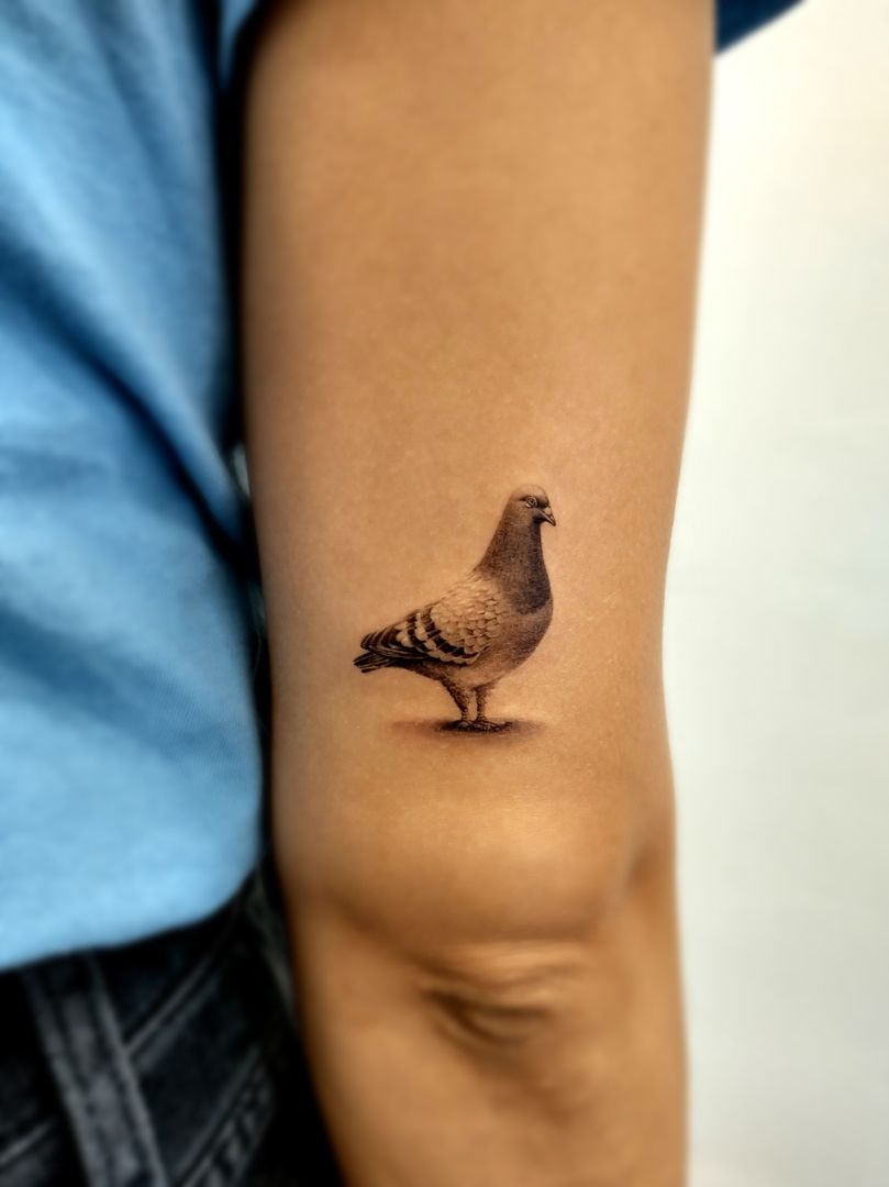 pigeon tattoo