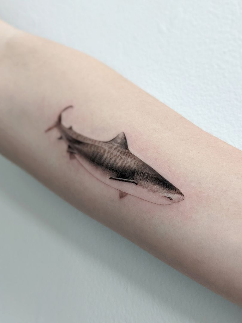 tiger shark tattoo